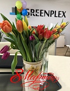 С международным женским днем!